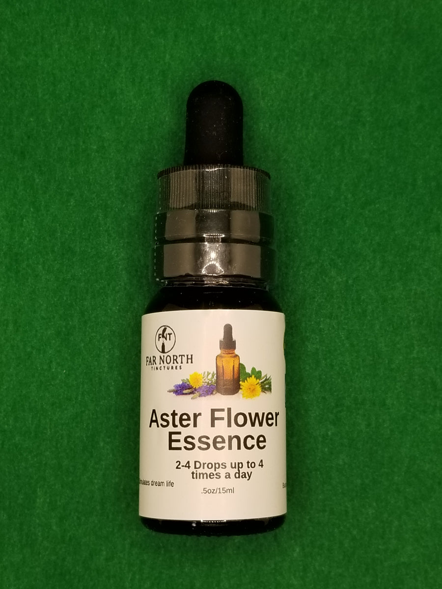 Aster Flower Essence Far North Tinctures