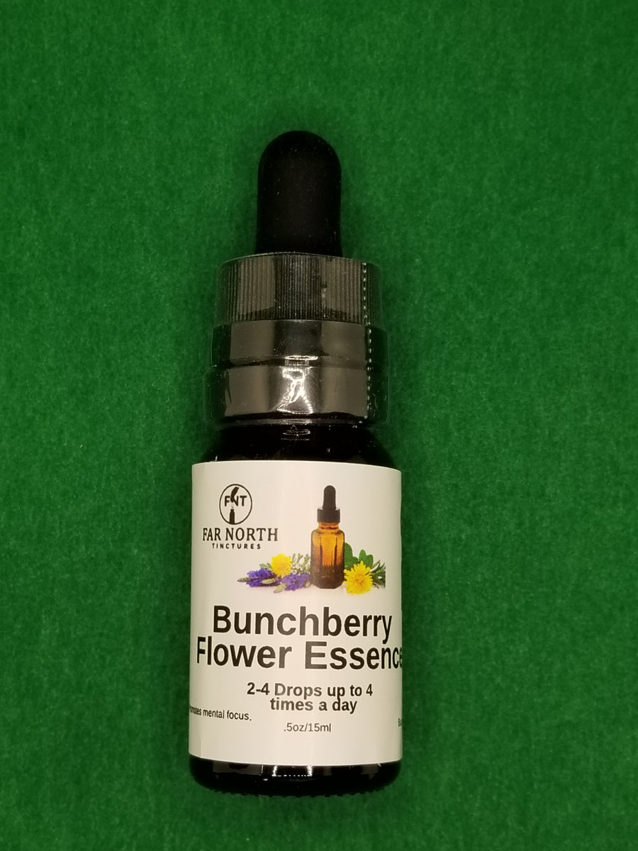 Bunchberry Flower Essence Far North Tinctures