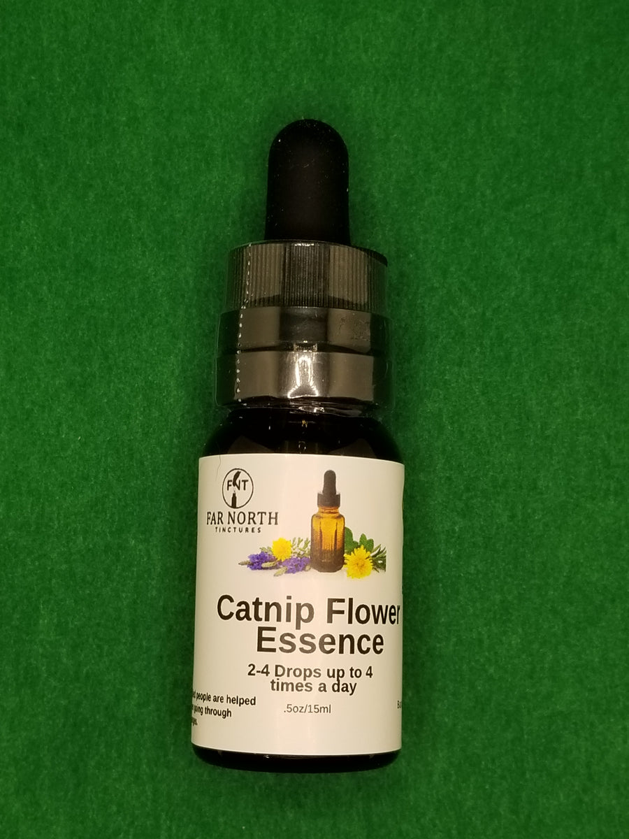 Catnip Flower Essence Far North Tinctures