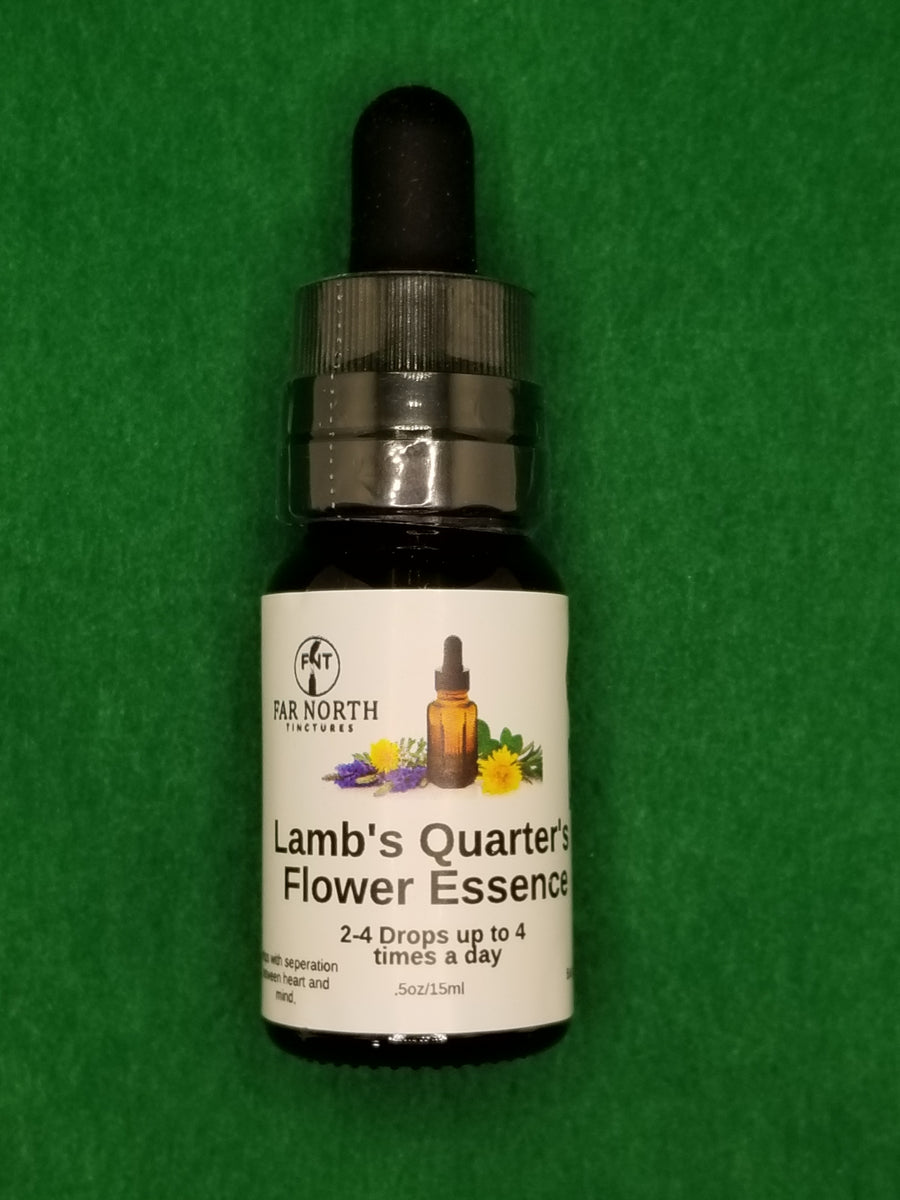 Lamb's Quarter's Flower Essence Far North Tinctures