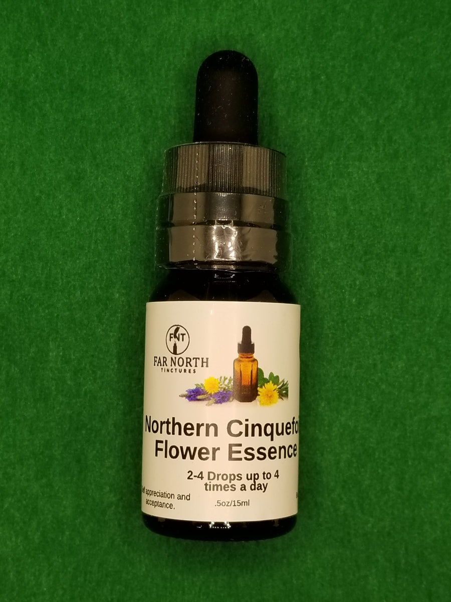 Northern Cinquefoil Flower Essence Far North Tinctures