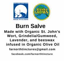 Load image into Gallery viewer, Burn Salve