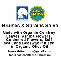 Load image into Gallery viewer, Bruises & Sprains Salve