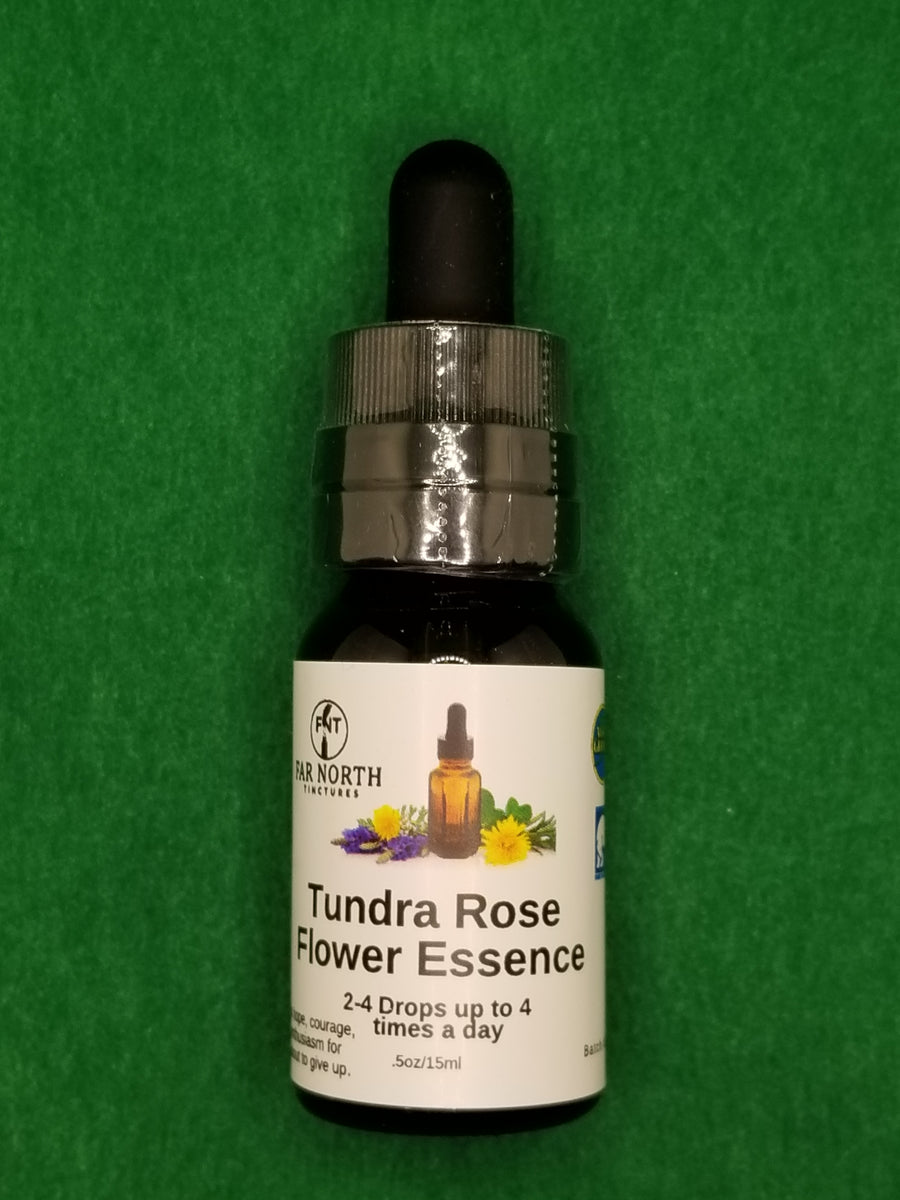 Tundra Rose Flower Essence Far North Tinctures