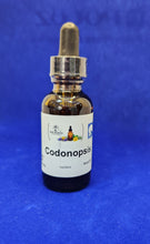 Load image into Gallery viewer, Codonopsis