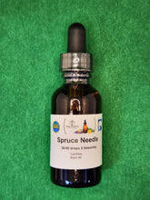 Load image into Gallery viewer, Spruce Needle Tincture