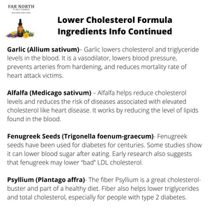 Lower Cholesterol Formula