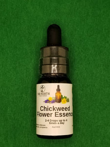 Chickweed Flower Essence