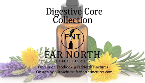 Digestive Core Set Collection