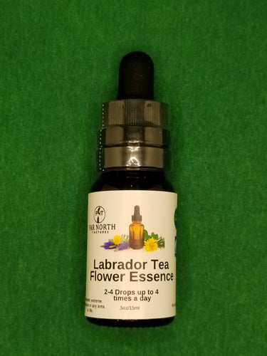 Labrador Tea Flower Essence