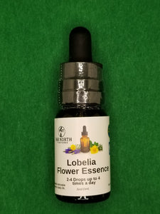 Lobelia Flower Essence