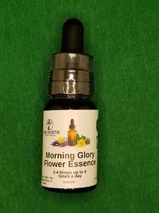 Morning Glory Flower Essence