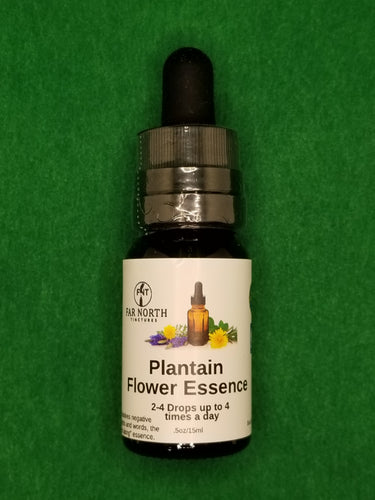 Plantain Flower Essence