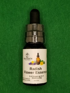 Radish Flower Essence
