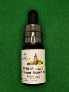 Wild Mustard Flower Essence